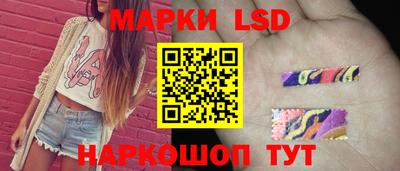 стаф Краснодар