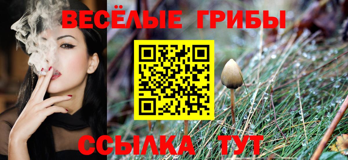 Галлюциногенные грибы мухоморы  Вход с VPN  Кемерово  Псилоцибиновые грибы ЛСД 