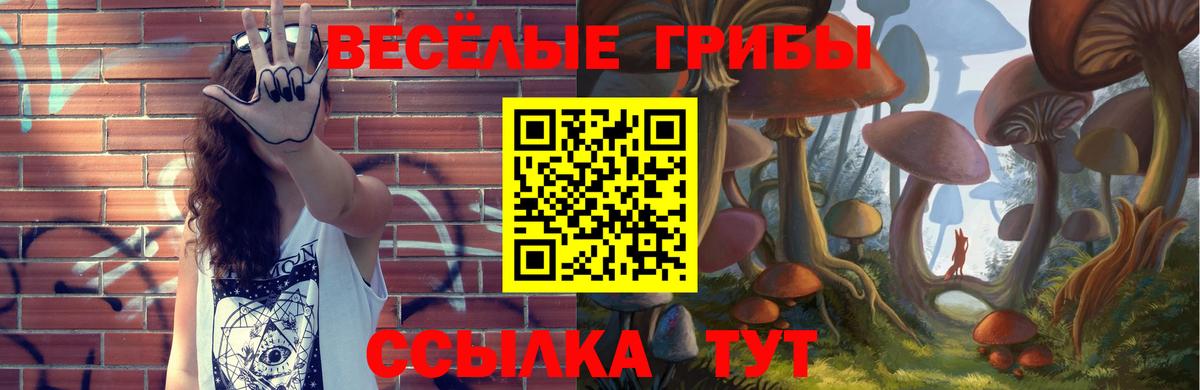 Псилоцибиновые грибы Psilocybe Кемерово